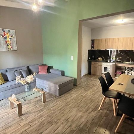 Ria'S Gardenview Apartment Ioannina Exterior foto
